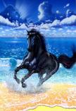 2198 Black Stallion  